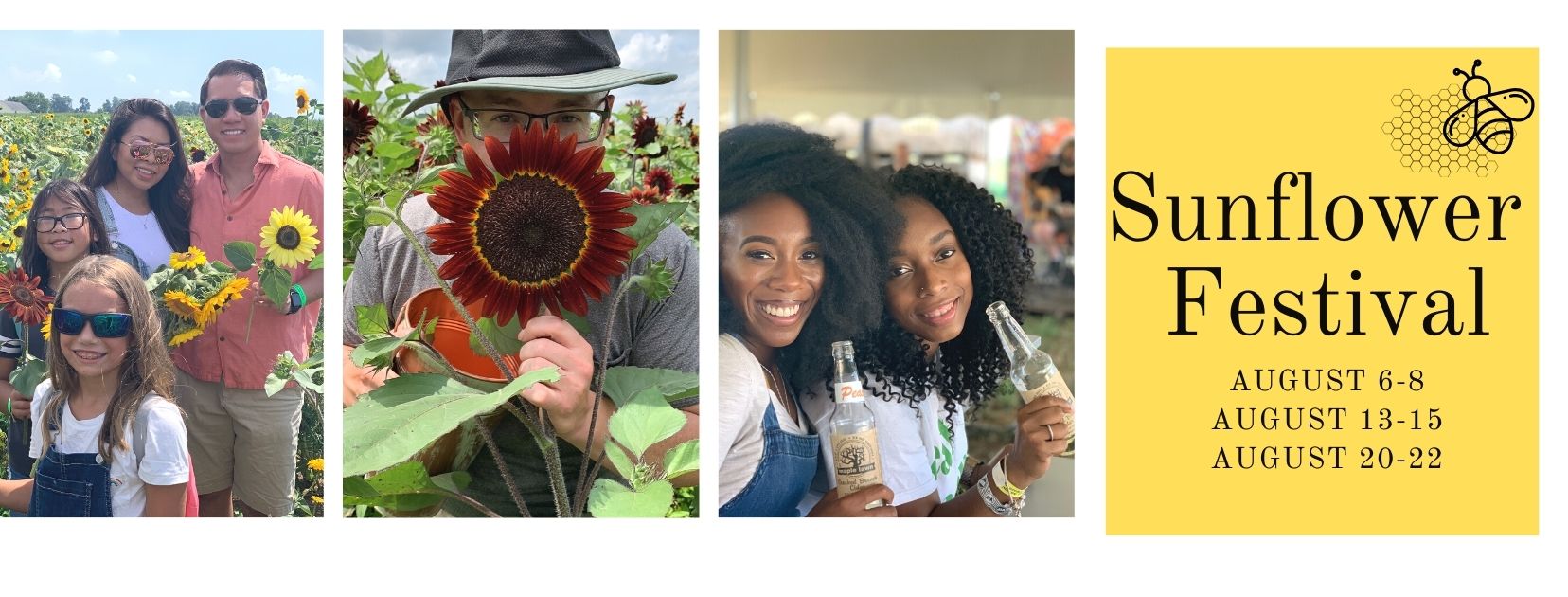 Sunflower Festival Maple Lawn Winery & Cider House